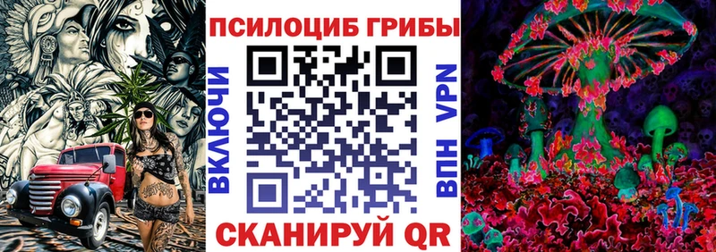 Галлюциногенные грибы Cubensis  Каневская 